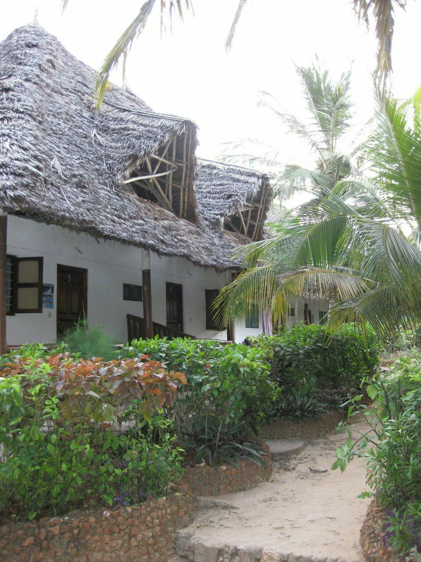 Baraka Beach Bungalows Nungwi Ngoại thất bức ảnh