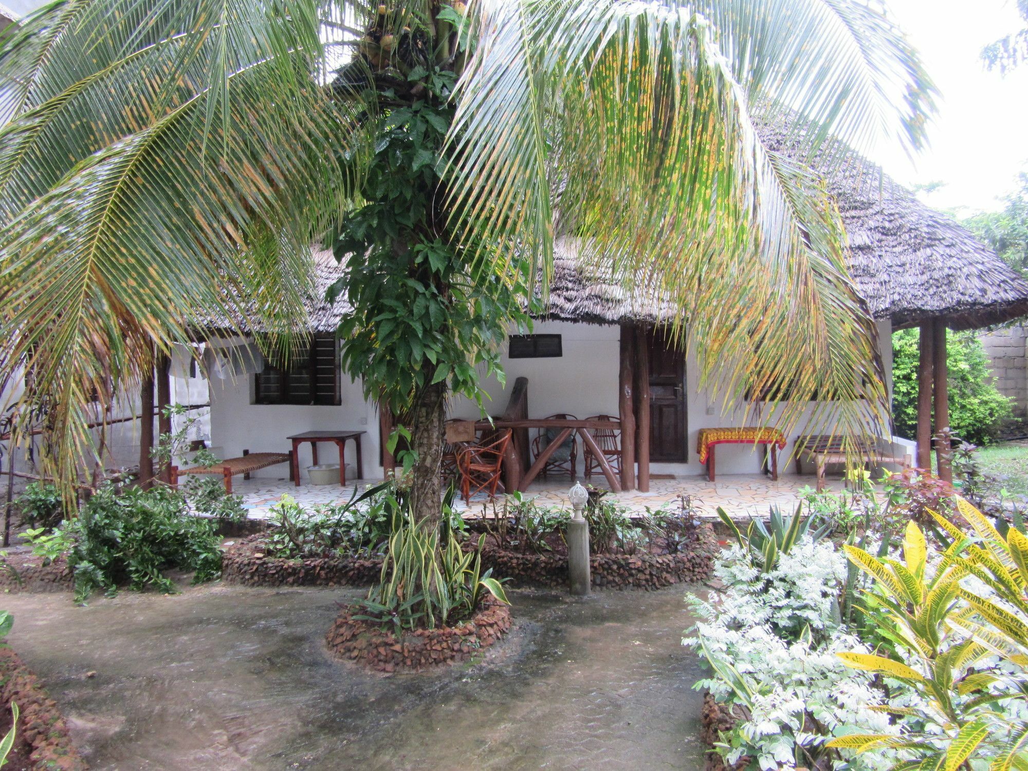 Baraka Beach Bungalows Nungwi Ngoại thất bức ảnh